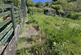 Additional image 11 of Hyfrydle Road, CAERNARFON, Gwynedd, LL54