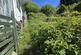 Additional image 17 of Hyfrydle Road, CAERNARFON, Gwynedd, LL54