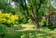 Additional image 3 of Palace Road, Tulse Hill, London, SW2