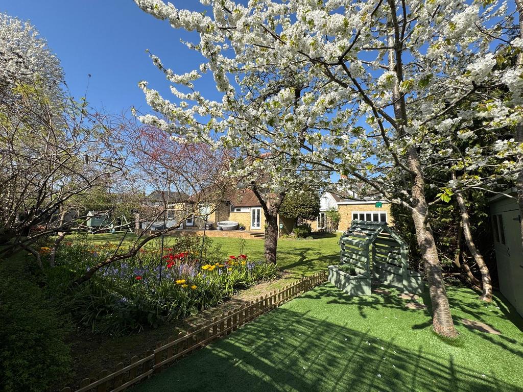 Garden view, garden