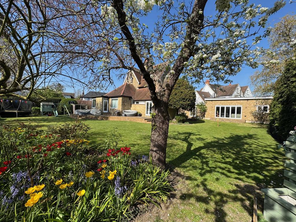 Garden view, garden