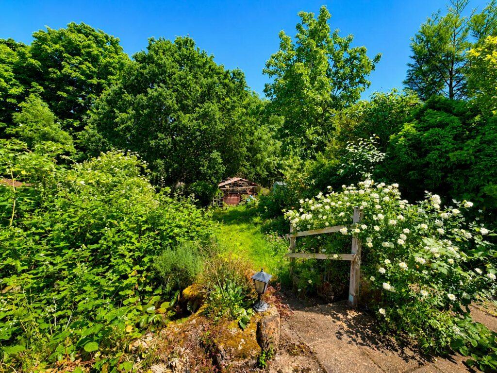 Garden view, garden