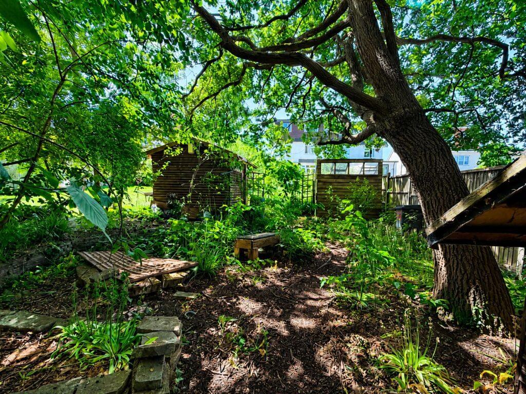 Garden view, garden