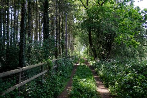 undefined, Mounts Hill, Benenden TN17
