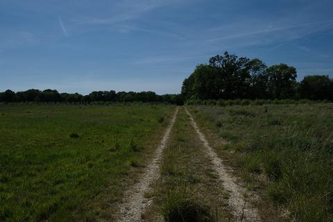 undefined, Mounts Hill, Benenden TN17