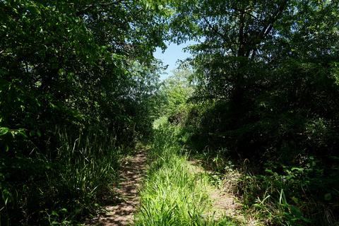undefined, Mounts Hill, Benenden TN17