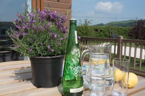 2 bedroom lodge for sale, ABI Ambleside Lodge, Maesmawr Farm Resort, SY17 5SE, Mid Wales