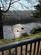 Savannah, North West England, Penrith , CA10 2JB, United Kingdom
