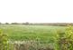 Additional image 21 of Bankfield Grove, Scot Hay, ST5