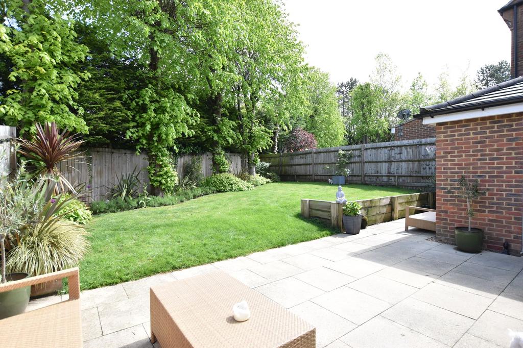 Patio view, garden