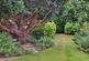 Additional image 23 of Orchard Avenue, Thames Ditton, KT7