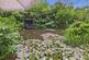Additional image 3 of Cwmfelin Boeth - 1.75 Acre Wooded Plot