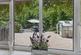 Additional image 26 of Cwmfelin Boeth - 1.75 Acre Wooded Plot