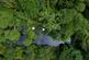 Additional image 28 of Cwmfelin Boeth - 1.75 Acre Wooded Plot
