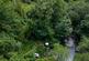 Additional image 33 of Cwmfelin Boeth - 1.75 Acre Wooded Plot