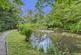 Additional image 5 of Cwmfelin Boeth - 1.75 Acre Wooded Plot