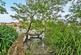 Additional image 14 of Laleham Reach, Chertsey, KT16