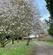 Additional image 20 of Bradford Lane, Belbroughton, Stourbridge