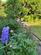 Additional image 24 of Bradford Lane, Belbroughton, Stourbridge