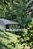 Additional image 34 of Folly Cottage, Grayshott, Hampshire