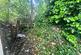 Additional image 15 of Rosemary Grove, Salford M7