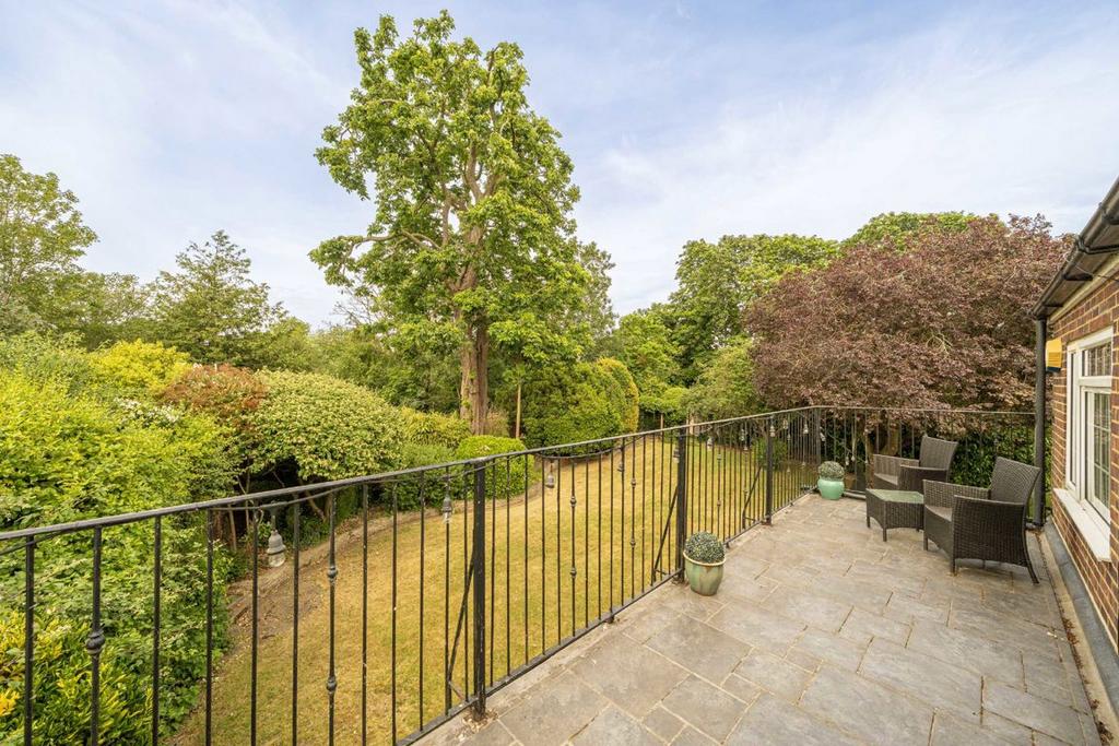 Patio view, garden