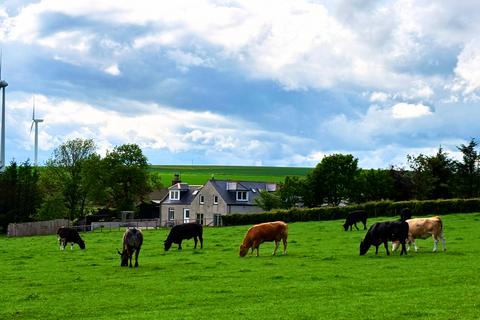 5 bedroom property with land for sale, Auchterless AB53