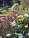 Additional image 24 of Biggar Road, Silverburn, Penicuik, Midlothian