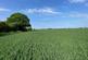 Additional image 2 of 58.60 acres of Land at Amotherby, Malton