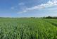 Additional image 3 of 58.60 acres of Land at Amotherby, Malton