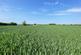 Additional image 5 of 58.60 acres of Land at Amotherby, Malton