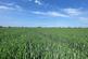 Additional image 7 of 58.60 acres of Land at Amotherby, Malton