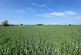 Additional image 10 of 58.60 acres of Land at Amotherby, Malton