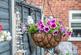Additional image 20 of Hillston Close, Colchester, Essex, CO2