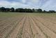 Additional image 6 of Cadney Lane, Bettisfield, Whitchurch.