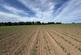 Additional image 7 of Cadney Lane, Bettisfield, Whitchurch.