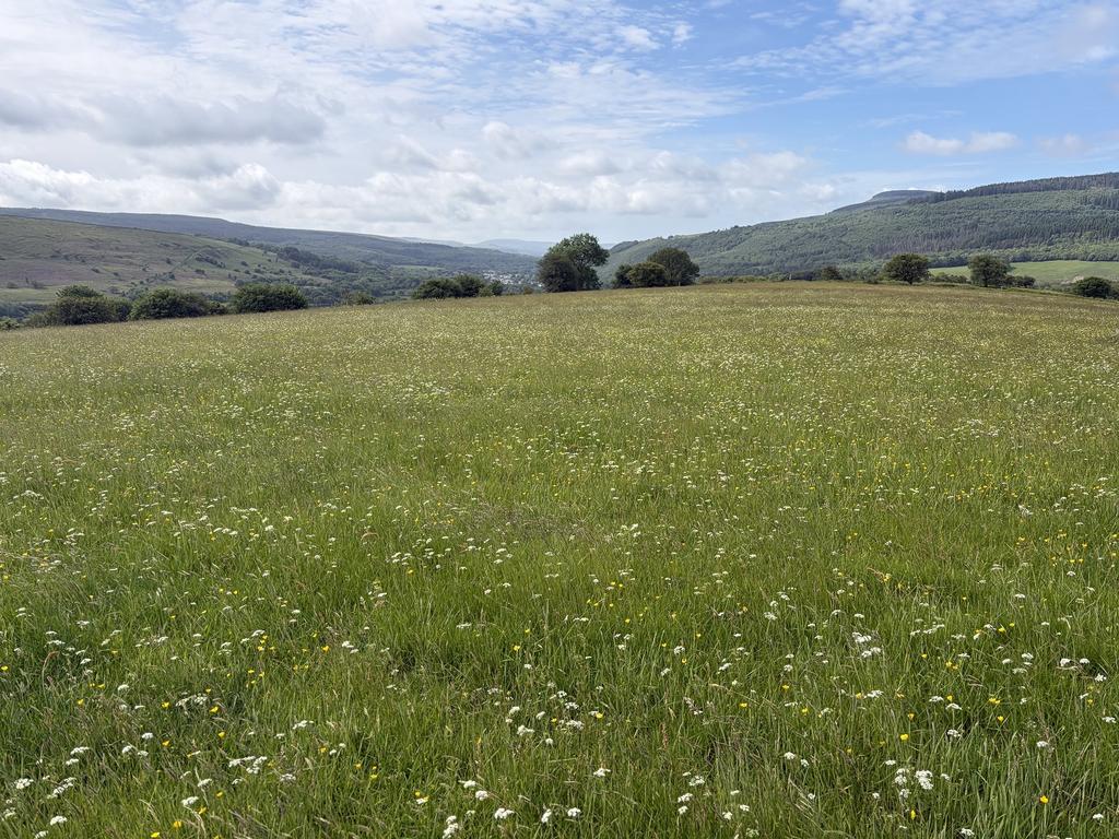 Talbot Land Crynant, Neath, Neath Port Talbot. Land for sale - £600,000