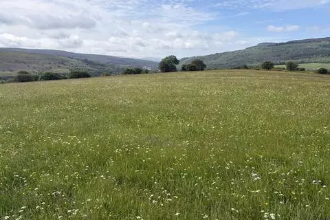 Land for sale, Crynant