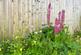 Additional image 19 of Tyn Y Bonau Road, Pontarddulais, Swansea, West Glamorgan, SA4 8RY