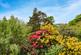 Additional image 36 of Invergare House, Glenarn Road, Rhu, Helensburgh, G84