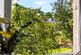 Additional image 11 of Clouston Street, North Kelvinside, Glasgow