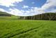 Additional image 16 of Shielsknowe Farm, Brundenlaws, Jedburgh, Scottish Borders, TD8