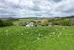 Additional image 24 of Shielsknowe Farm, Brundenlaws, Jedburgh, Scottish Borders, TD8