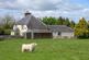 Additional image 6 of Shielsknowe Farm, Brundenlaws, Jedburgh, Scottish Borders, TD8