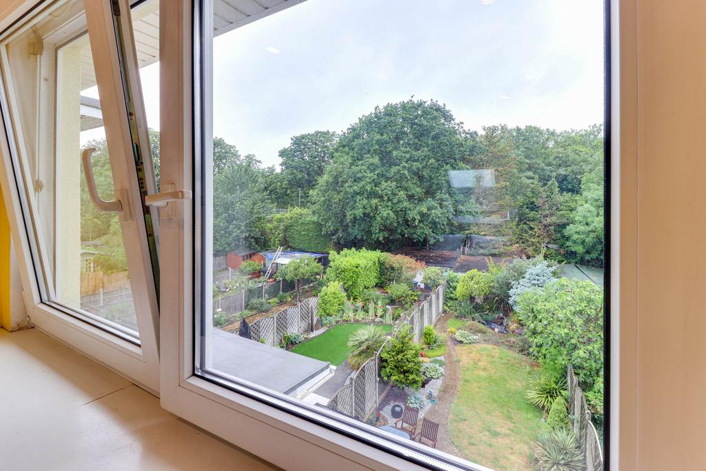Garden view, garden