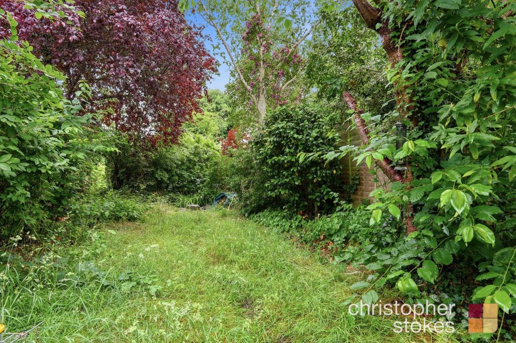 Garden view, garden