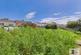 Additional image 17 of Bryn Glas, Aberporth, Cardigan