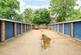 Additional image 14 of Priory Close, Walton-on-Thames, KT12