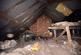Additional image 21 of 76 Prestwood Avenue, Wolverhampton, WV11 3TY