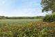 Additional image 20 of Elmers Road, Ockley, Dorking